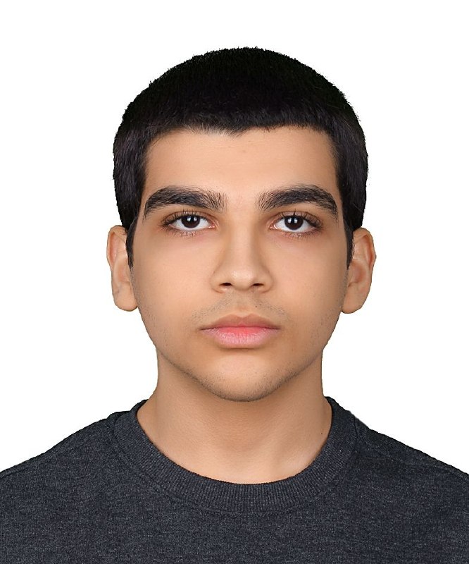 Sepehr Mahdikhani Lead Mobile & Front-End Developer Photo